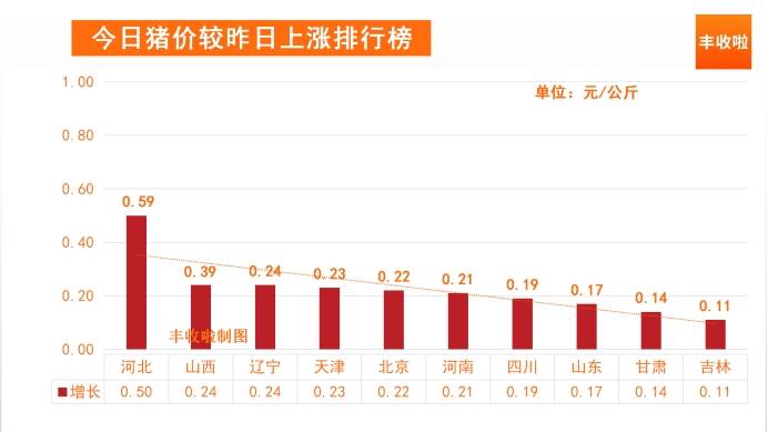 今日猪价喜讯连连，全面上涨行情一览无遗