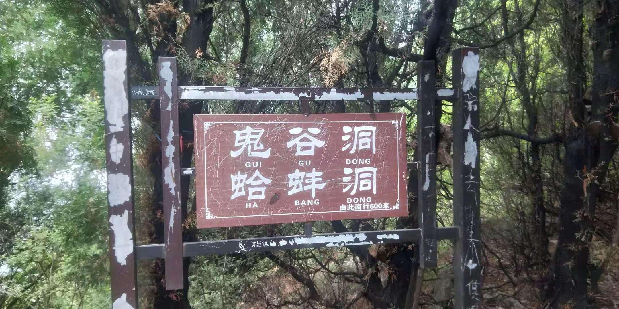 马山镇长清区资讯速递