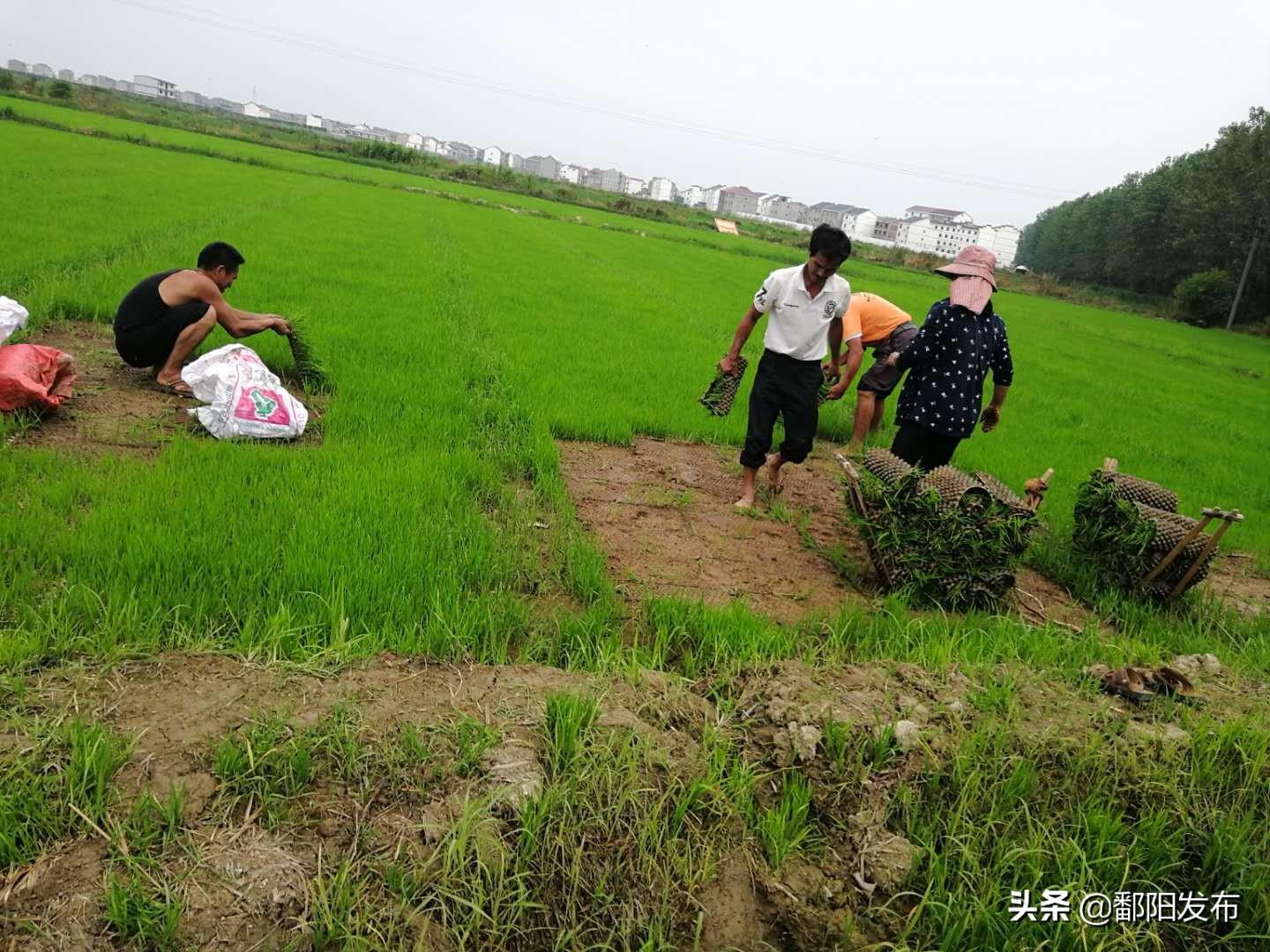 鄱阳县全新发布：高清公路规划蓝图大揭秘