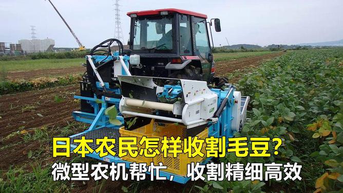 尖端科技驱动，全新一代高效毛豆收割神器震撼登场