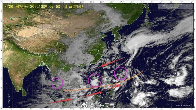 肇庆地区最新台风动态及实时情况速报