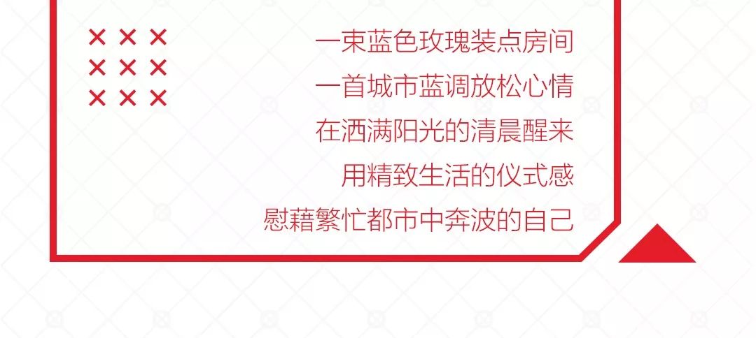 寻觅行业精英！水泥化验领域主任职位火热招募中