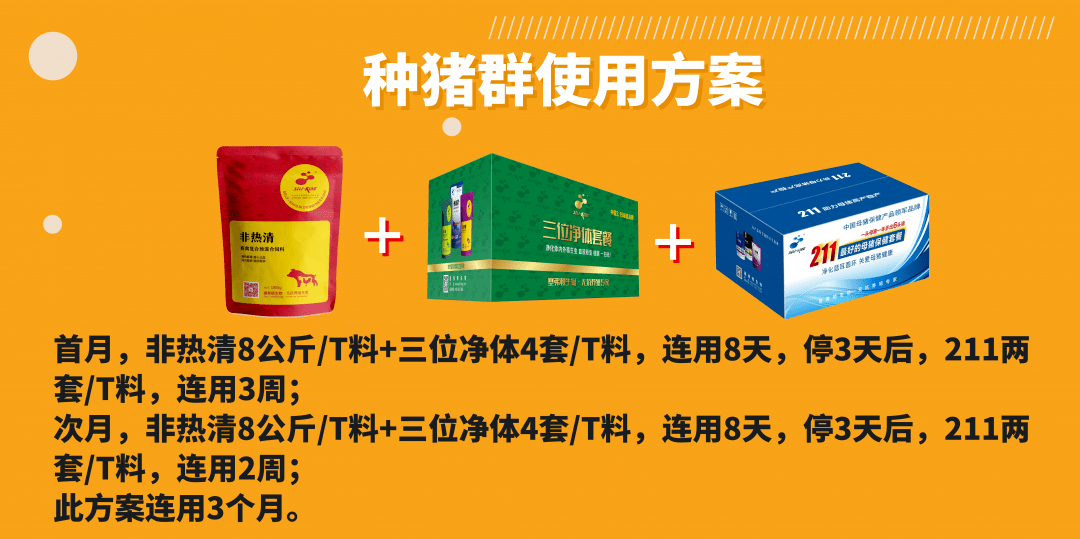 创新猪舍防蚊新策略揭晓：探索高效驱蚊技术新篇章